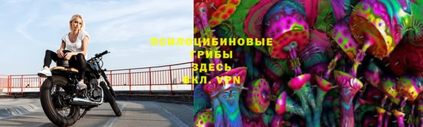 ALPHA-PVP Дмитровск