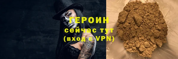 PSILOCYBIN Дмитриев