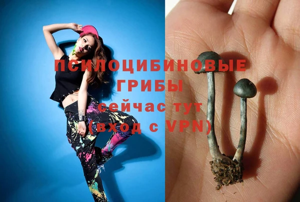PSILOCYBIN Дмитриев