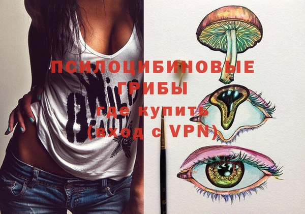 PSILOCYBIN Дмитриев