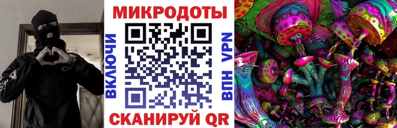 Купить где  Козловка  Галлюциногенные грибы мухоморы 
